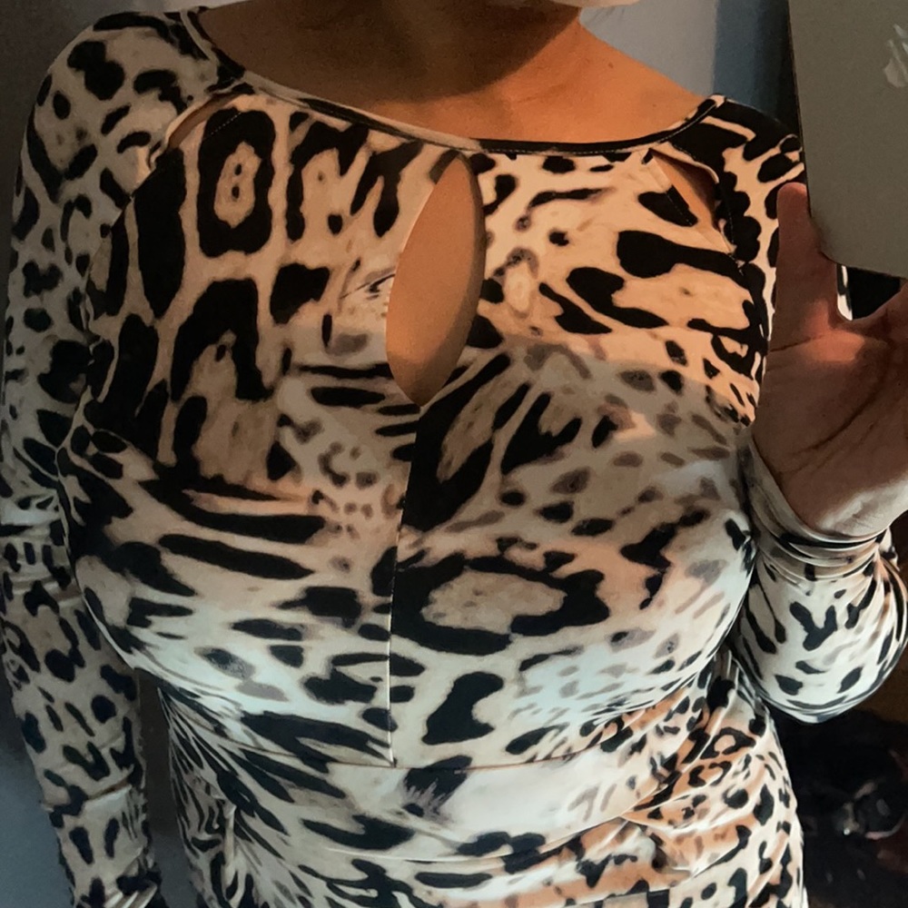 Leopard Print Dress